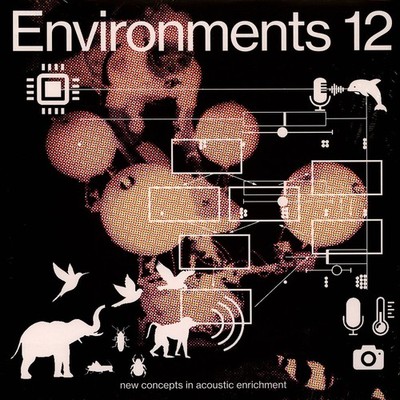 Machine Listening - Environments 12 (Vinyl LP - 2025 - EU - Original)