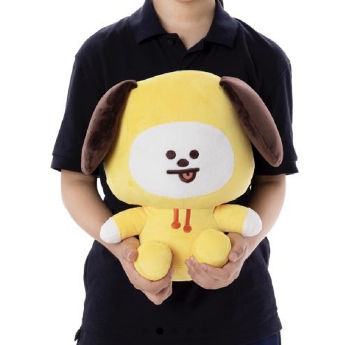 bt21 plushies big