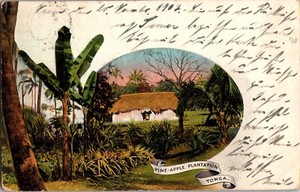 1948 Vavau Tonga Toga Pineapple plantation Picture Postcard Cover to Germany