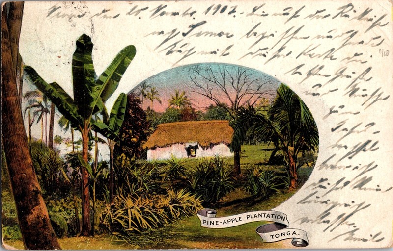1948 Vavau Tonga Toga Pineapple plantation Picture Postcard Cover to Germany