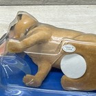 Foto 5 di 7