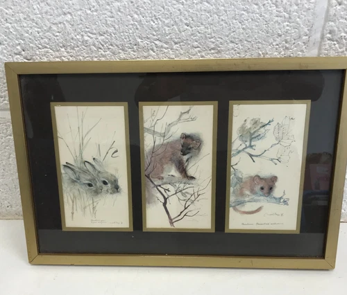 Vintage Framed Danish Art Prints Wildlife Set of 3