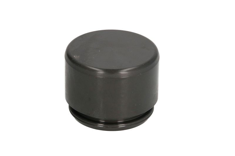 Fits AUTOFREN SEINSA D0-25255 Piston, brake caliper D0-25255 Brake caliper pist