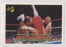 1990 Classic WWF The Bushwhackers Bushwhacker Butch Bushwhacker Luke #47 10c7