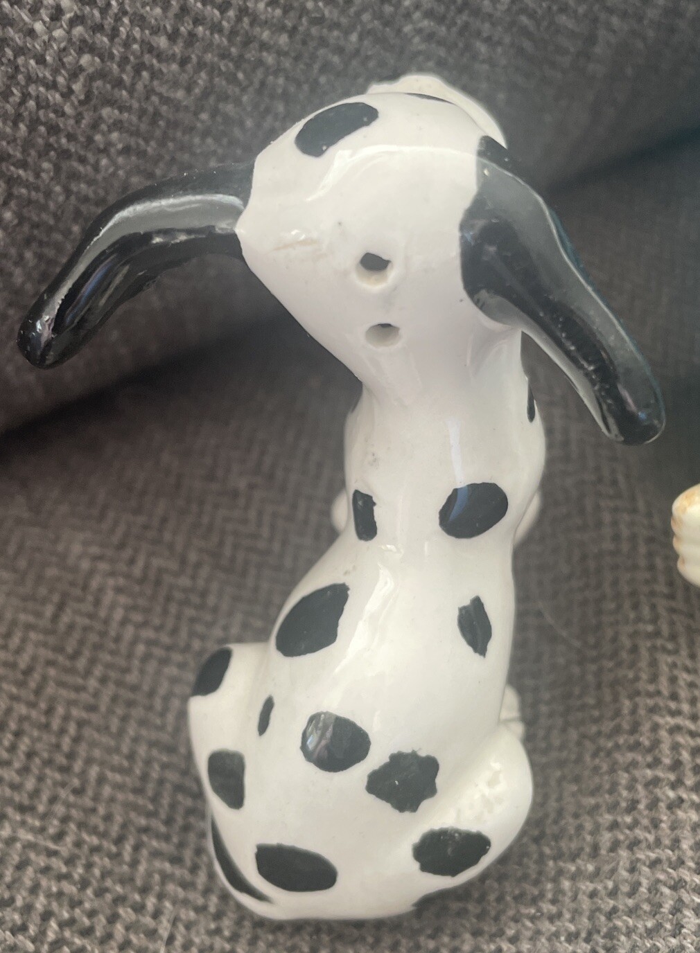 Picture 5 of 12