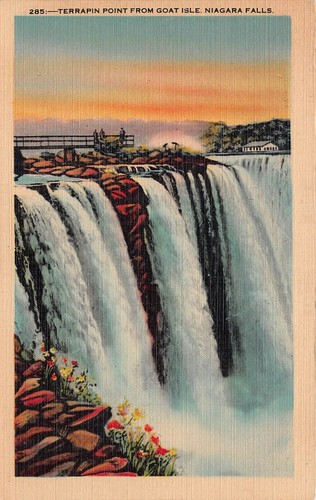 Niagara Falls Terrapin Point Goat Isle Scenic View Hotel 1940s Vtg Postcard P4
