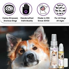 Icelandic Sheepdog Relax Dog Aromatherapy Calms Anxious, Scared, Stressed Dogs