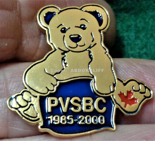 POLICE Victim Services PVSBC 15th 2000 B.C. Pin Mint - Picture 2 of 4