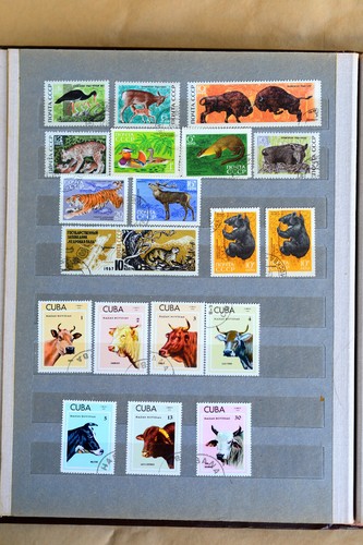 STAMPS ALBUM FLORA & FAUNA collection different countries USSR 401pcs 1960-1970s - Picture 11 of 22