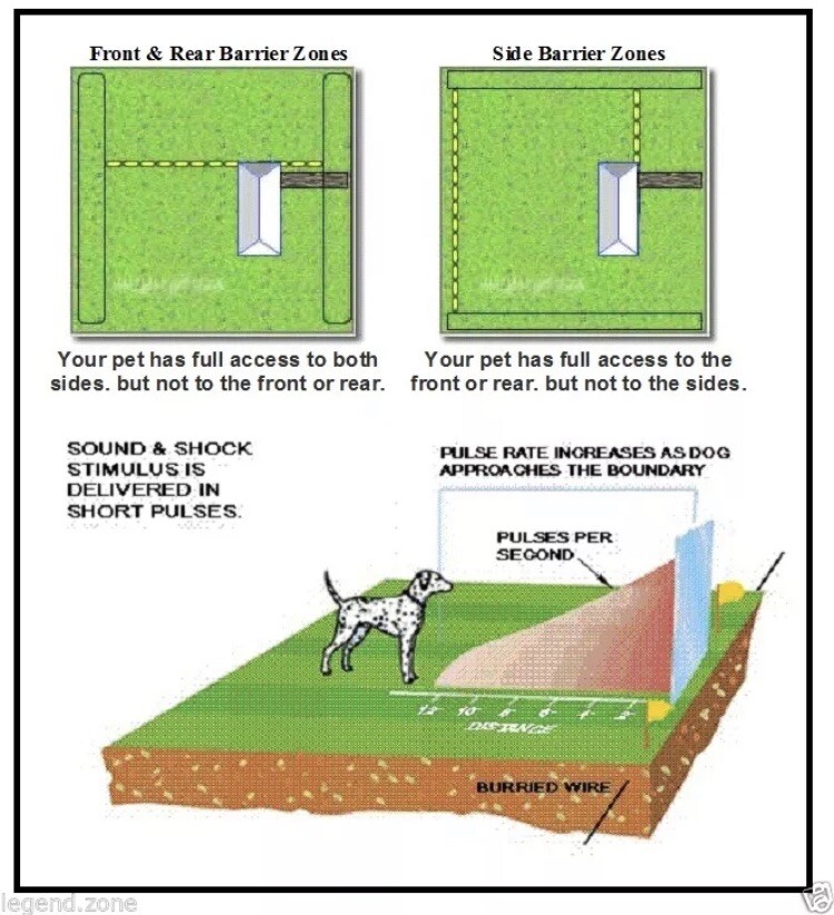 bark collar electric fence combo