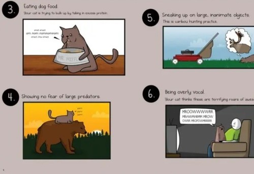 HOW TO TELL IF YOUR CAT IS PLOTTING TO KILL YOU BY MATTHEW INMAN THE OATMEAL - Picture 2 of 3