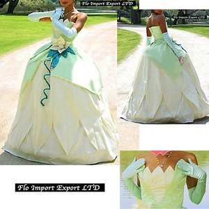 صفعة محو الجهاز الهضمي vestito carnevale principessa - spamwell.net