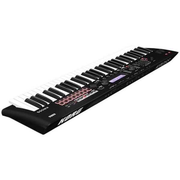 KORG KROSS2 61鍵 Amazon.com: Korg Kross 2-61 61-Key Synthesizer Workstation