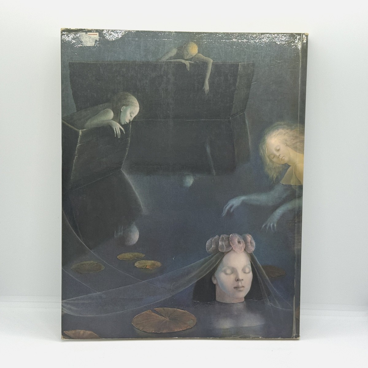 【415】LEONOR FINI レオノ－ル.フィニ　美術関係書 LEONOR FINI, une vie dans l'art（レオノール・フィニ） | 汀線