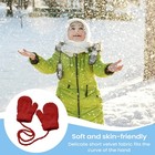Bild 4 von 12