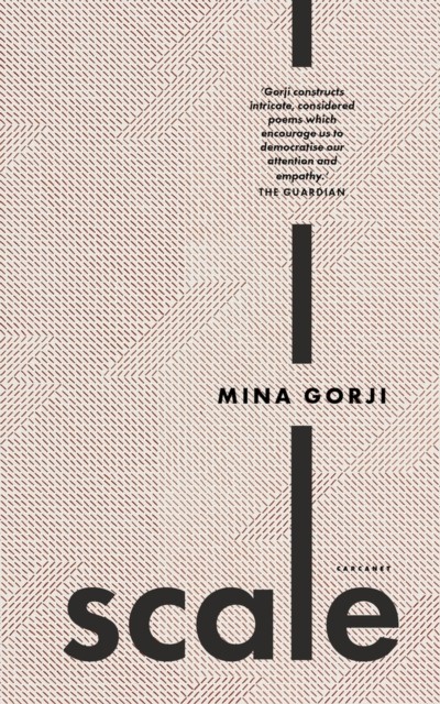 Scale by Mina Gorji (Paperback Book)