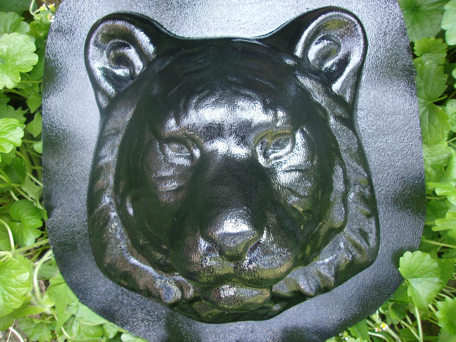 Picture 4 of 7