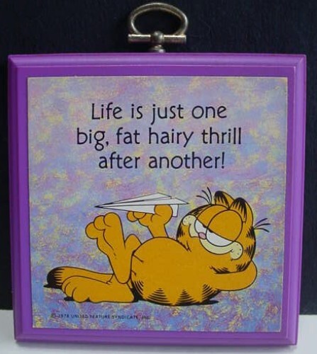 Vintage Garfield Wandrelief Life One Big Fat Hairy Thrill After Another 1980er - Bild 1 von 10