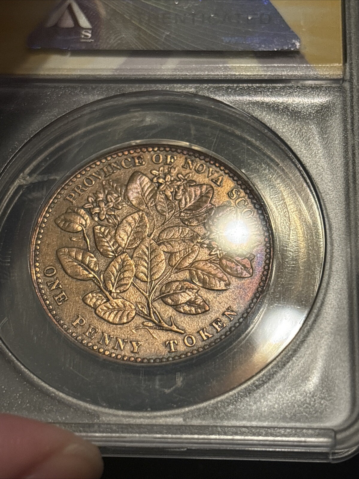 Picture 17 of 20