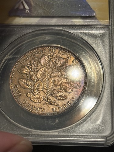 1856 Canada Penny Token Anacs Vf35 Details Cleaned Look Toned Nova Scotia - Picture 17 of 20