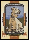 2018 Ud Goodwin Champions #Cc121 Lakeland Terrier Canine Companions Patch