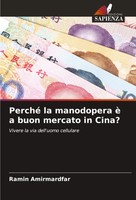 Ramin Amirmardfar | Perché La Manodopera è A Buon Mercato In Cina? | Taschenbuch