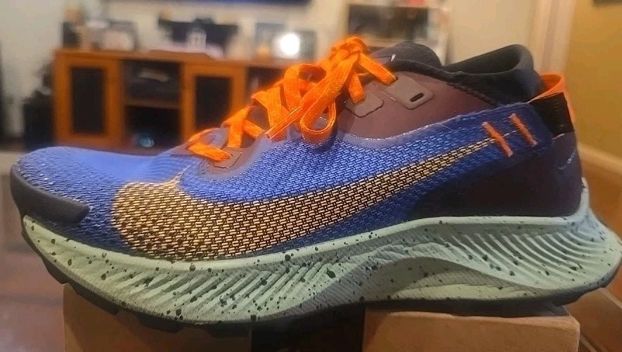 Nike Pegasus Trail 2 Gore-Tex Blue for Sale | Authenticity