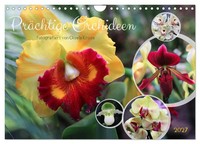 "Calendar 2027 · US Version · Magnificent Orchids (Wall Calendar 2027 12\" × 8\" La"