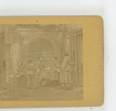 Children Gathered around Woman Teacher ? Ward Stereoview