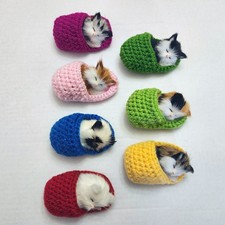 Realistic Furry Kitten/Cat in Knitted Slippers Choose Your Color 