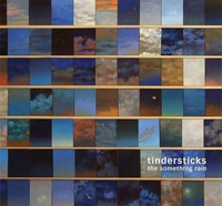 Tindersticks The Something Rain (Schallplatte) 12\ Album"