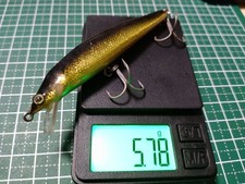 Ken Craft Brook Search Rapala Bagley Saurus