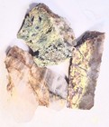 Petrified Wood - Plasma Agate- Mt Maury Moss Agate - Quartz Slab - Cabbing Rough — photo 10