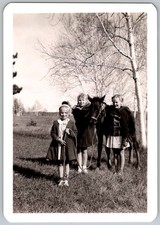 Vtg B&W Snapshot Three Girls With Horse Pony In Field Birch Trees Coats Circa