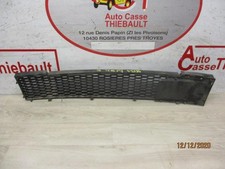 STOßSTANGENGITTER Fiat 500C (312) Cabrio 1.2 69 (169.A.4000) 735455043