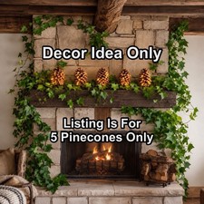 Lot of 5 Giant 7&rdquo; - 10&rdquo; Coulter Pinecones Stand-Up-On-Their-Own Baked Cured Lrg