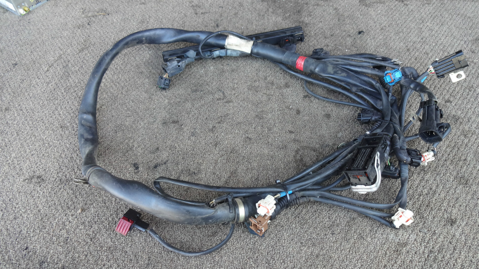 Ferrari 360, RH, Right Engine Wiring Harness, P/N 181117