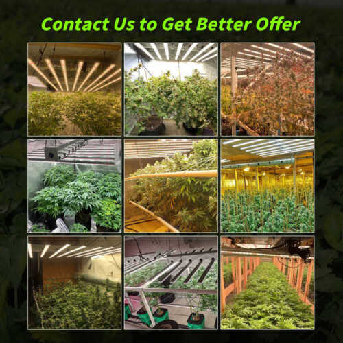 FD9600 6500 LED Grow Light Bar Full Spectrum Ideal for Commercial Indoor Farming - Picture 47 of 64