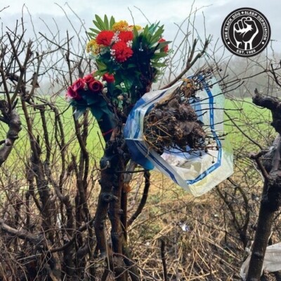 新品未開封　SLEEP DEPRIVATION BLACK DOG LP The Black Dog - Sleep Deprivation (Vinyl LP) [PRE-ORDER] | eBay