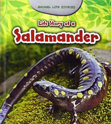 Life Story of a Salamander (Young Explorer: Animal Life Stories),HC,Charlotte G - Zdjęcie 1 z 1