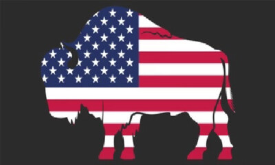 USA BUFFALO BISON Black Vinyl Decal Bumper Sticker