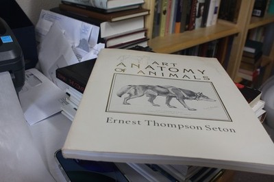 Studies in the Art Anatomy of Animals by Ernest Thompson Seton (1977) VG PB