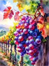 Tile Mural Tuscan Vineyard Grapes Kitchen Wall Art Backsplash Marble Ceramic