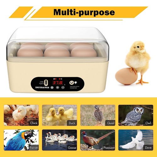 Mini Egg Incubator Automatic Digital Poultry Egg Hatcher Egg Candler Hatching UK - Picture 3 of 12