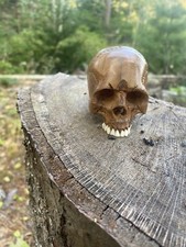 hand carved wooden skull 2 1/2 Inc High 2 Inc Width