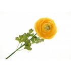 Single Stem Artificial Ranunculus Flower 60cm - Yellow - Summer Floral Display