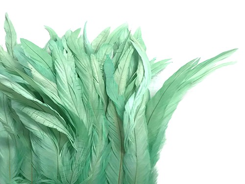 1 Yard - 10-12" Mint Green Bleach & Dyed Coque Tails Long Feather Trim Supply - 第 1/6 張圖片