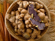 5 Bulbs Black Ginger, KAEMPFERIA PARVIFLORA Thai Herbs Krachai Dam Free Shipping