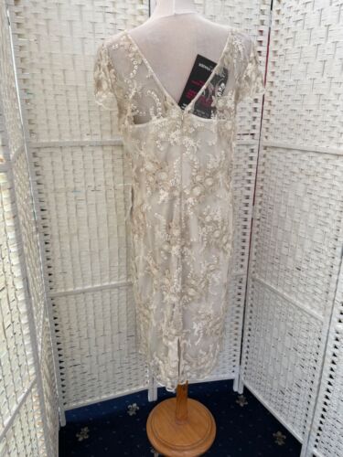 shubette ivory, gold lace overlay, lined dress BNWT size 16 kkkkkkkkkkkkk - Picture 6 of 10
