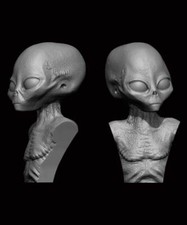 ION Model AX-01 - Grey Alien Bust 5cm/50mm (3D-Printed)